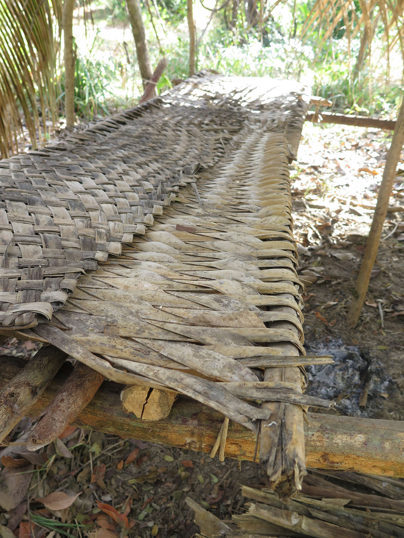 Coconut_Matting Wild Human