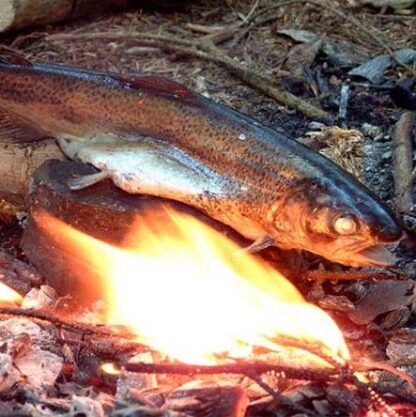 trout on a hot rock