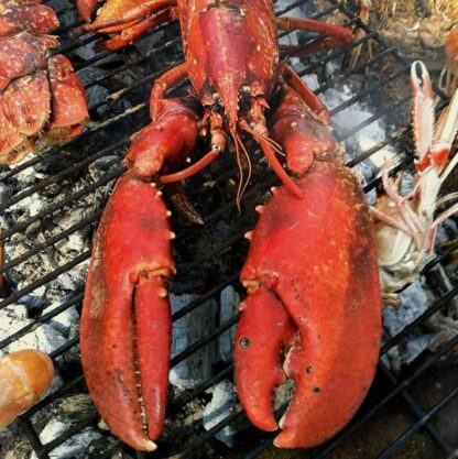 lobster on grill