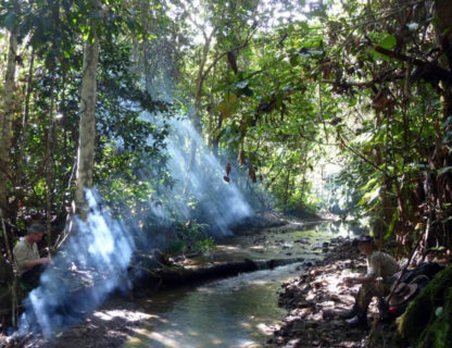 lunch break in the jungle