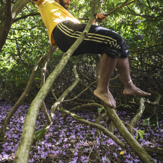 Ben Medder - natural movement / parkour through trees