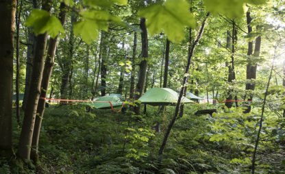 tentsile tree tents