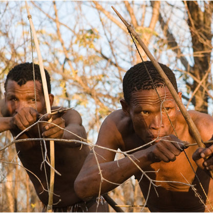 Bushman trackers