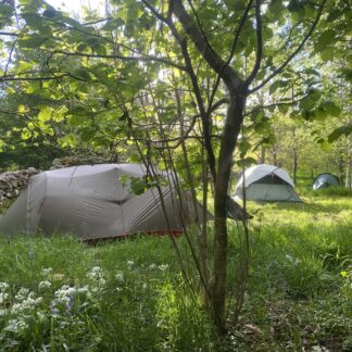woodland camping